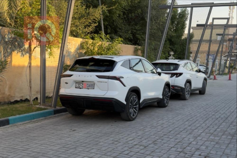 جيتور داشينج